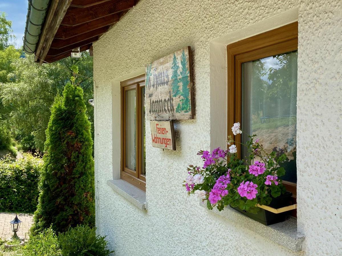 Ferienwohnung Haus Tanneck St. Blasien Exterior foto